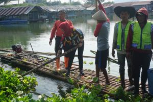 asn bersihkan rawa jombor