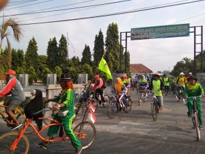 gowes wedi 1