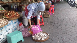 harga bawang putih