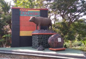 kali kebo