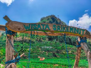 Pemandangan Desa Wisata Srikeminut