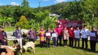 hewan kurban dari puan maharani 1