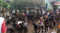sadranan dalangan udik udit duwit