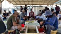 desa devisa benih bandeng buleelng