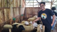 handaru Jati Ciptahadi Karya Farm