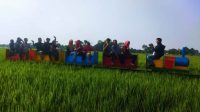 lokamerta ds tirtomarto cawas klaten