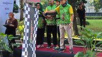 gowes sawit 1