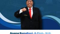 anang romdloni