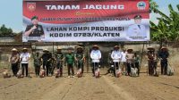 Kodim Klaten Inisiasi Tanam Jagung Bersama Di Karanganom