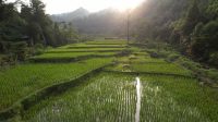 pembangunan harus berkeadilan