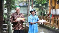 kampung reforma agraria desa bandung