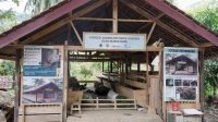 Pondok Domba Reforma Agraria desa nunuk baru